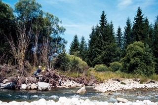 Posledná divoká rieka na Slovensku – Belá.