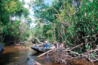 Cesta k lagúnam vedie pralesom po riečnych ramenách.