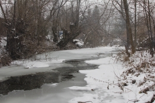 Prúdnejšia a hlbšia voda v riečke tak skoro nezamrzne.