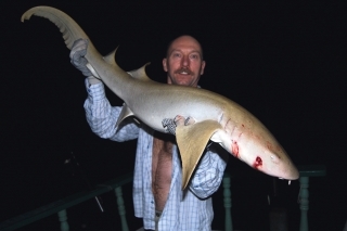 Žralok z nočného lovu.