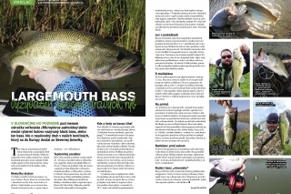 Largemouth bass - vyzývateľ lovcov dravých rýb