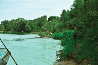 Pleskáče z rieky
