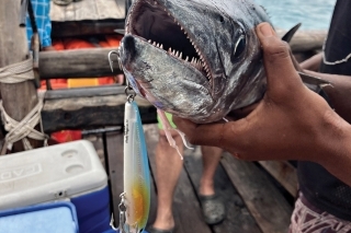 Rybačka na Zanzibare 3