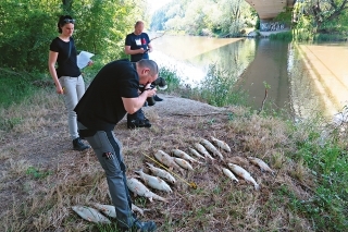 Envirokriminalisti robili dokumentáciu uhynutých rýb.