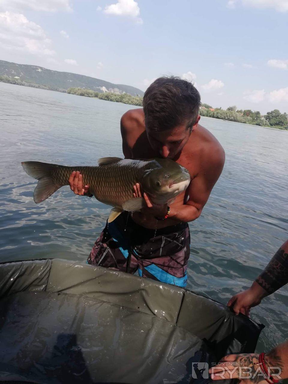 Dunaj 2019 Jul 13.5 Amur Pustený naspat :)