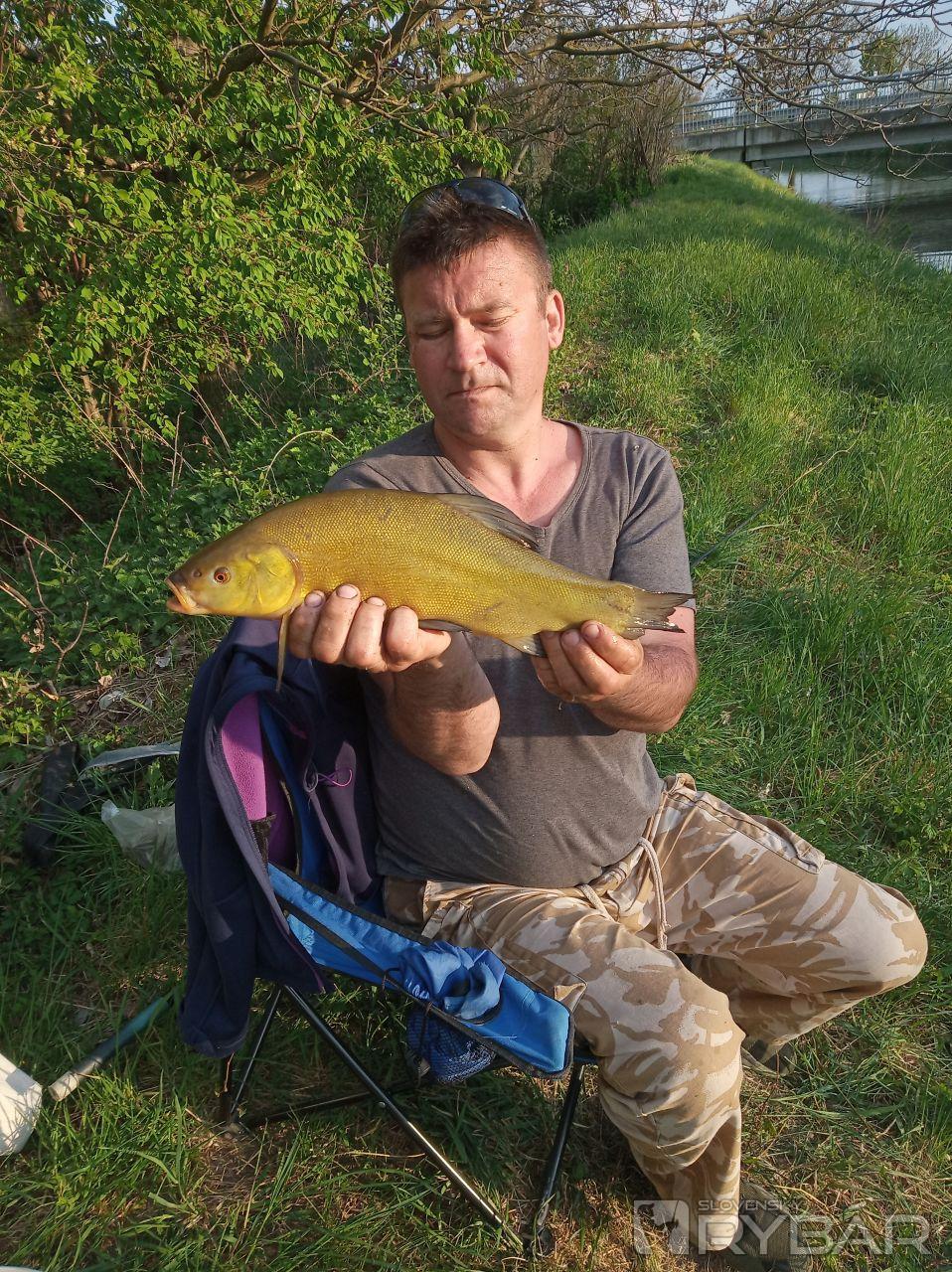 Peter Kozák
Dubová
Nástraha chlieb
42cm