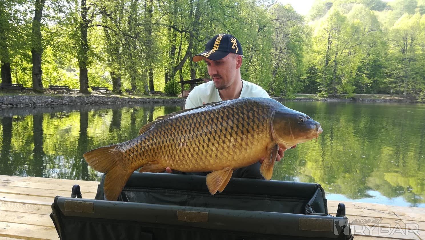 jasov carp