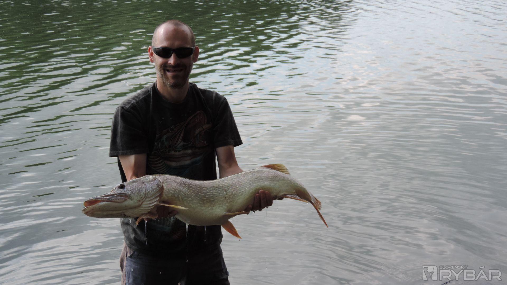 Lovec: Róbert Jarábek, Krupina
Druh Ryby: šťuka
Hmotnosť: 8,8kg
Dĺžka: 100 cm
Dátum: 28.6.2018
Miesto: Zelená voda, NM
Spôsob lovu: prívlač
Nástraha: 16 cm wobler
ryba vrátená vode