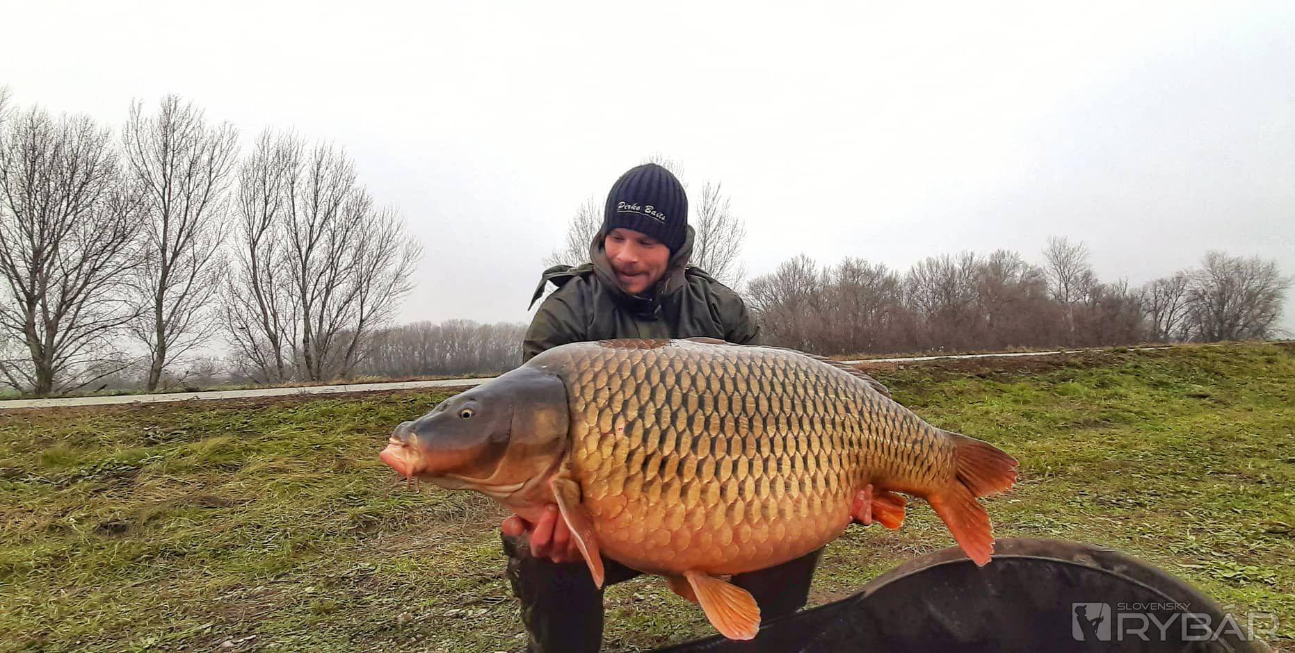 26.40kg
VNK