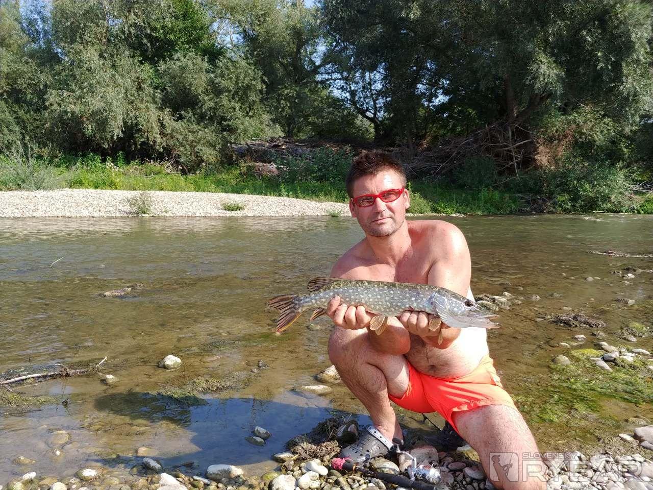 Šťuka cca 65
Vrátená vode