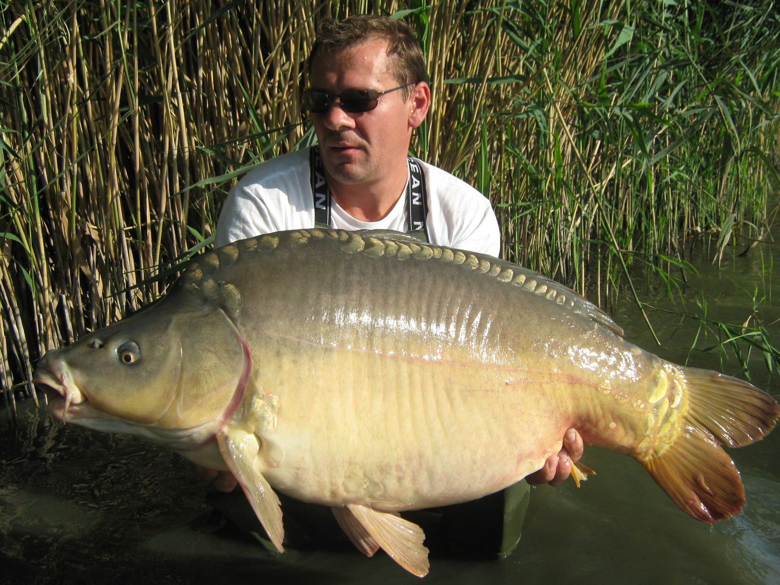 <h2>Robert Csorgo</h2>