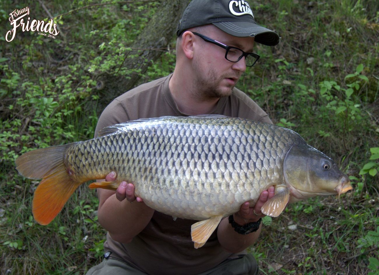 <h2>Tomáš Fijalka</h2>