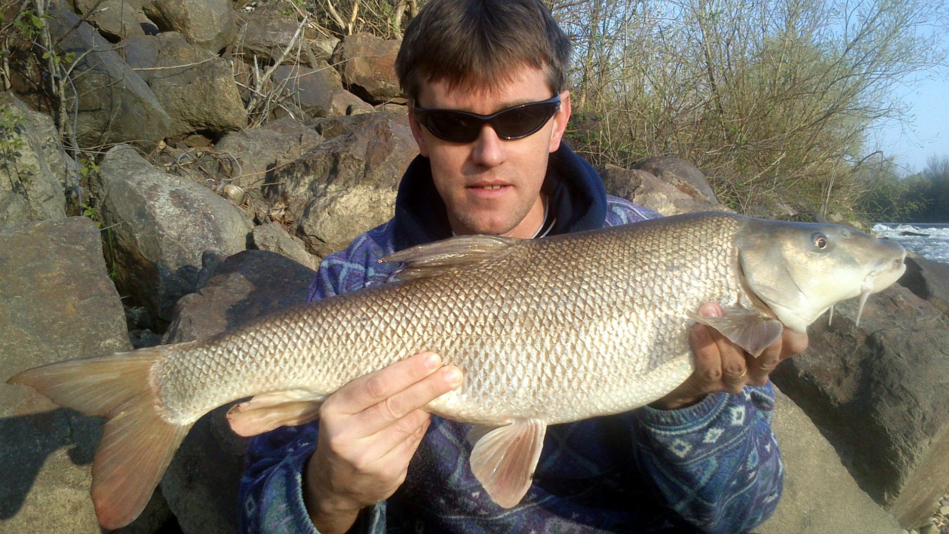 <h2>Robert Záremský</h2>