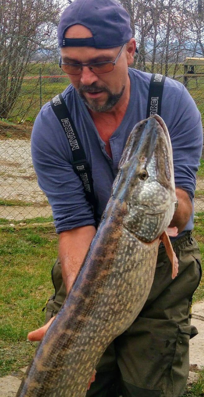 <h2>Vladimir Pospíšil</h2>