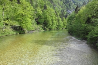 slovinsko, lipňe, rybačka, camp, muškárenie, mucha