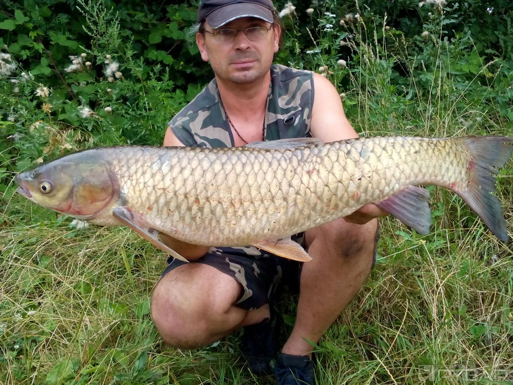 FOTO: Súťaž SHIMANO a DYNAMITE BAITS, Mon amor AMUR 2