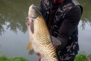 FOTO: Súťaž SHIMANO a DYNAMITE BAITS, Mon amor AMUR 1