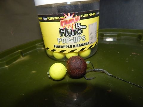 Súťaž SHIMANO a DYNAMITE BAITS, Opakujúce sa ryby zo štrkoviska 4
