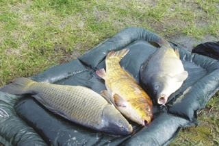 Boilies po „domácky“