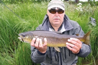 Nádherný potočák – 57 cm.