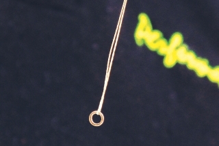 Krúžok navlečieme na spletanú šnúru hairbraid.
