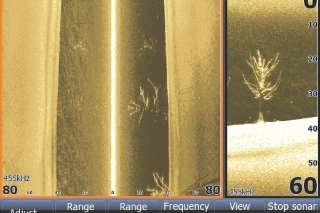 Detailne vykreslený bočný pohľad na strom pod loďou pomocou funkcie DownScan Imaging™.