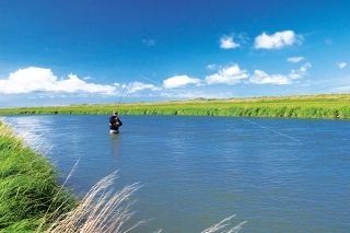 Zdolávanie lososa na rieke Cinder.