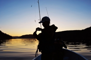 Holá, holá Snillfjord volá 6
