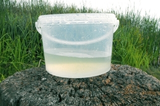 Postup prípravy atraktívneho krmiva: Nabral som vodu z jazera.