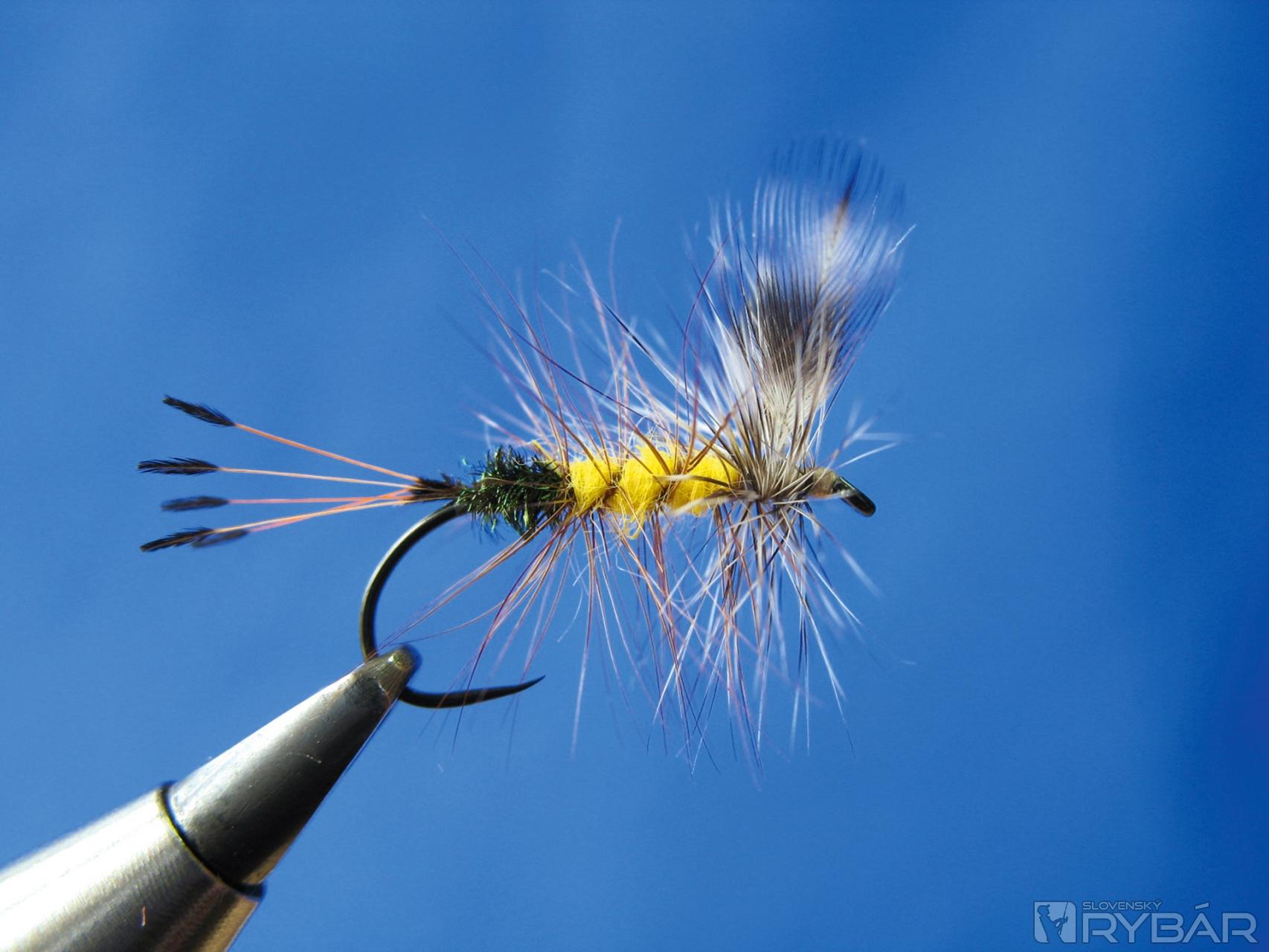 Mosquito 14