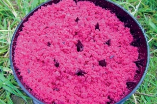Ja preferujem boilies rozdrvené na čo najdrobnejšie kúsky.