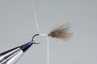 Naviažeme Body Quill.