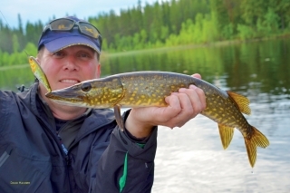 Malá šťuka ulovená na veľmi agresívny Water Moccasin 75.