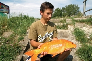 Michael Gašpar a krásny koi kapor.