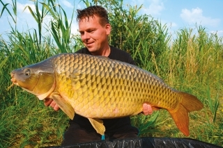 Bojovný šupináč s hmotnosťou cez 14 kg.