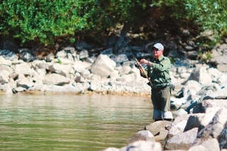 Kamenné hrádzky na Dunaji predstavujú ideálne stanovištia pre bolene, zubáče aj sumce.