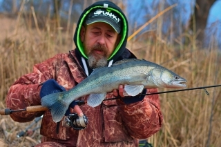 Zubáč z hrany pieskovne.