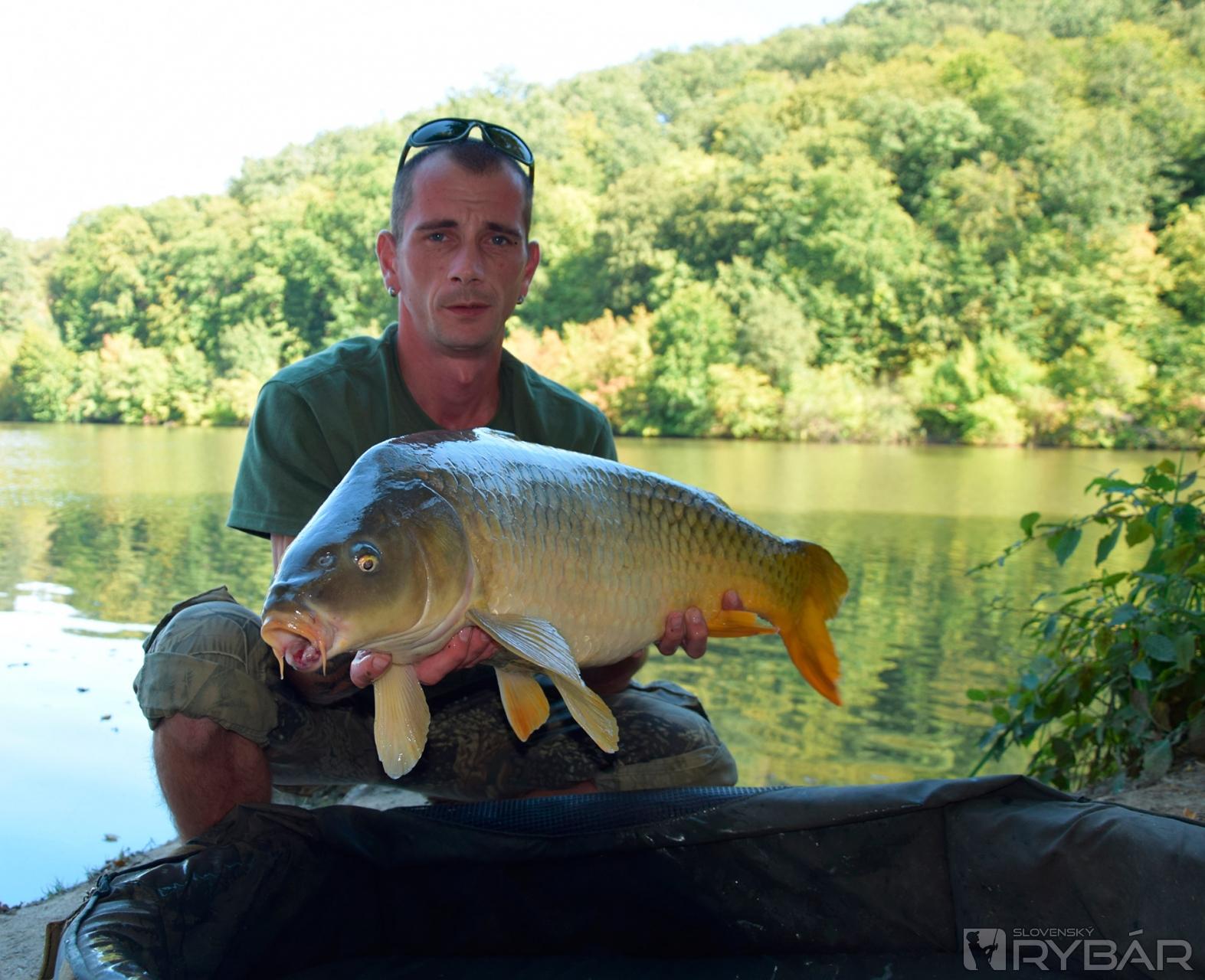 Feeder vs. boilies 7
