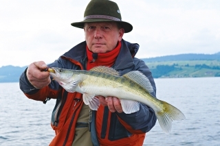 Kohút a Čeburaška 3
