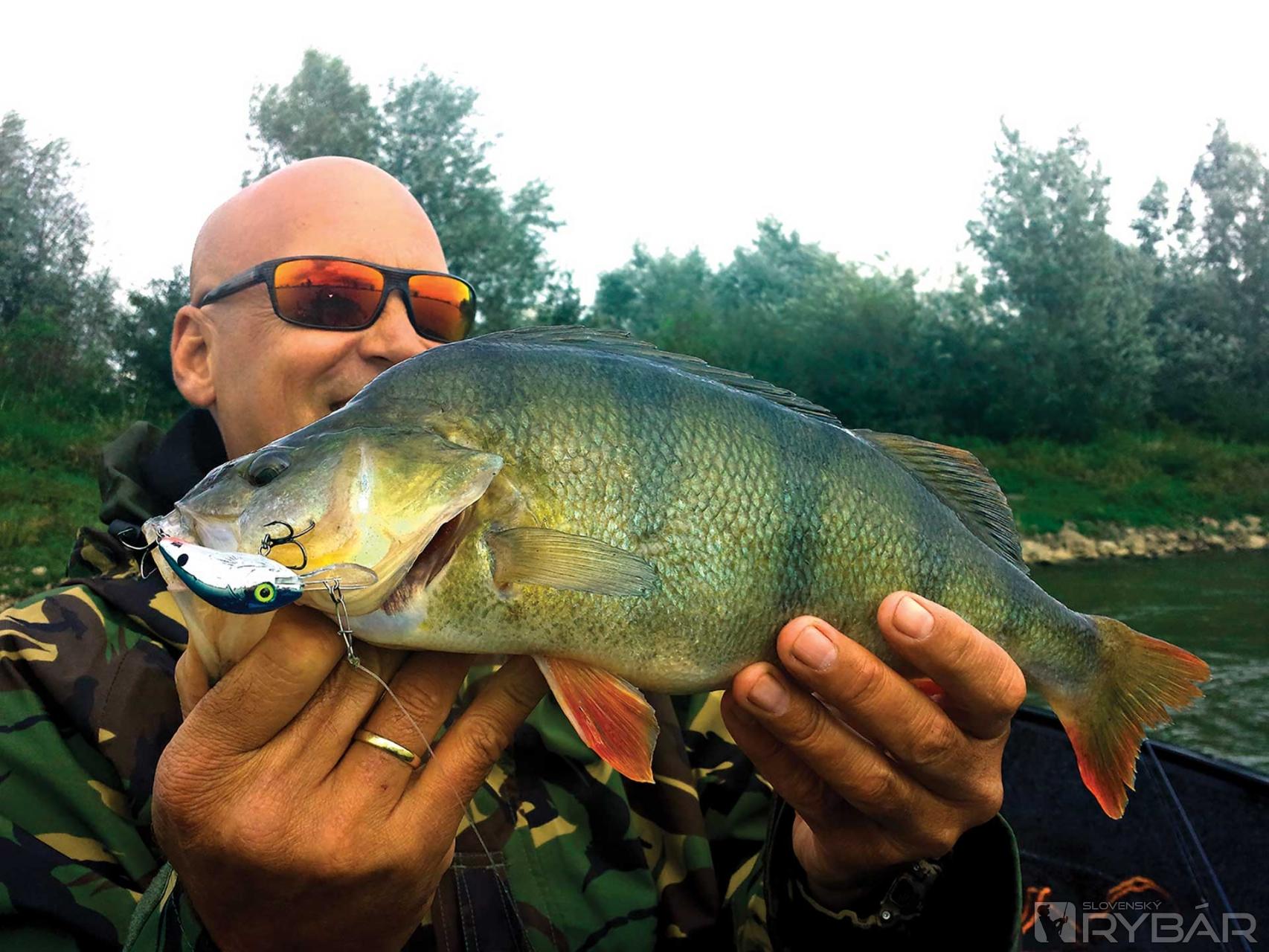 Crankbait: prvý medzi rovnými 4