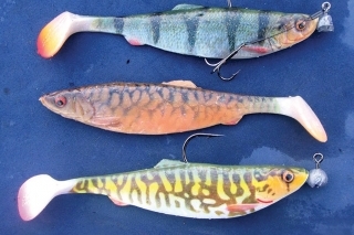 Z klasických gúm boli najúspešnejšie 4D Herring od Savage. Paradoxne lepšie fungovala stredná hnedá farba a ostriež. Spodná šťuková bola najmenej úspešná. Myslím, že to bude kvôli farbe miestnych šťúk, ktoré sú sfarbené do hneda.
