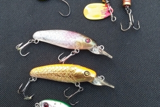 STREET FISHING v meste 12