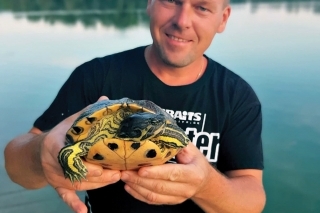V jazere plávalo niekoľko korytnačiek rôznych veľkostí.