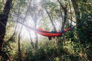 Hammock zavesený medzi stromami, jediná možnosť bivaku.