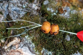 10. Bait Floss s nástrahou navlečieme na mini obratlík s krúžkom.