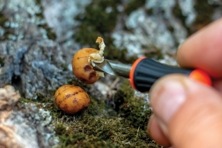 5. Navŕtanie otvoru pre vloženie korkovej tyčinky.