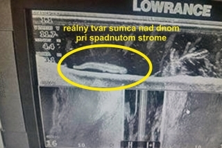Až k takýmto detailom nám pomôže kvalitný sonar.