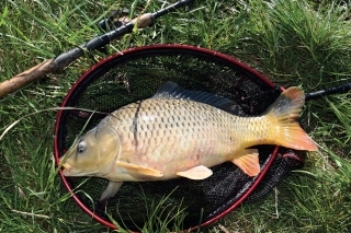 Feedrová škola s „Čabim“ ‒ 10. časť