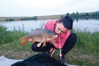 Láska na prvý pohľad.