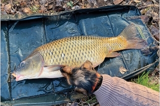 Lola a jej klasická starostlivosť o úlovok.